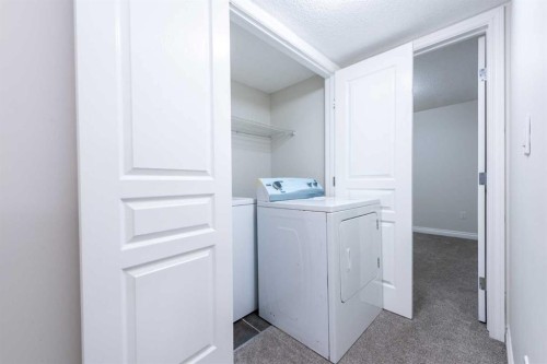 422 Taralake Way Ne, Calgary, AB - Indoor Photo Showing Laundry Room