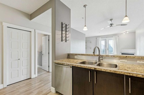 403-830 Centre Avenue Ne, Calgary, AB - Indoor Photo Showing Kitchen With Double Sink