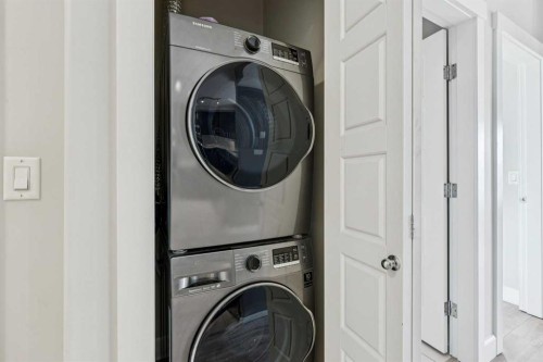 403-830 Centre Avenue Ne, Calgary, AB - Indoor Photo Showing Laundry Room