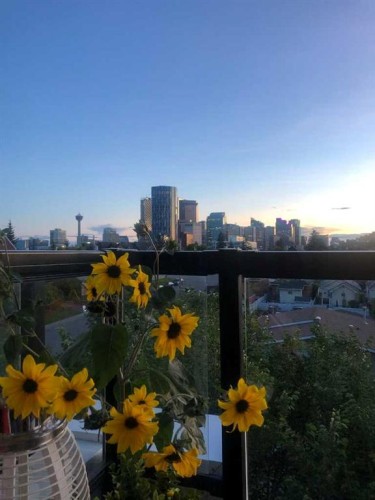 403-830 Centre Avenue Ne, Calgary, AB - Outdoor With View