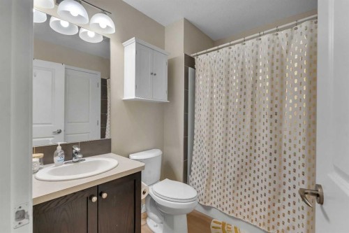 1002-1001 8 Street Nw, Airdrie, AB - Indoor Photo Showing Bathroom