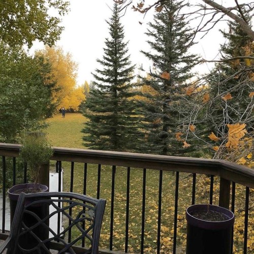 49 Macewan Ridge Close Nw, Calgary, AB - Outdoor