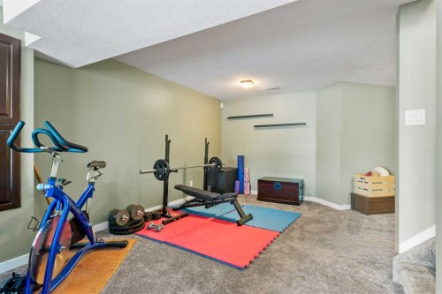 49 Macewan Ridge Close Nw, Calgary, AB - Indoor Photo Showing Gym Room