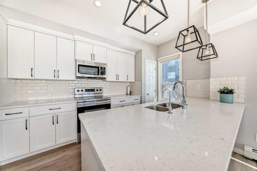 209-4250 Seton Drive Se, Calgary, AB - Indoor Photo Showing Kitchen With Double Sink With Upgraded Kitchen