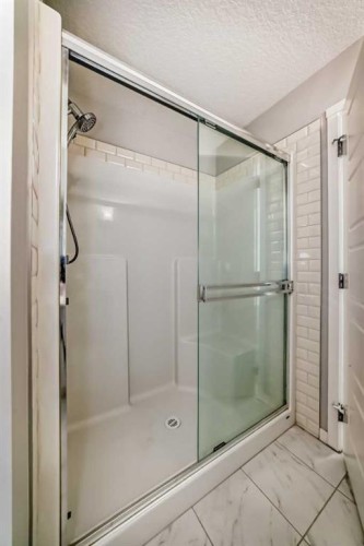 209-4250 Seton Drive Se, Calgary, AB - Indoor Photo Showing Bathroom