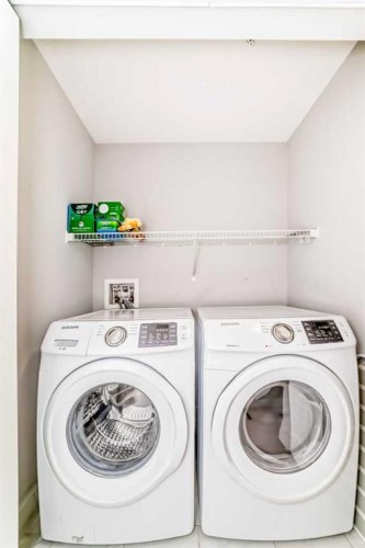 209-4250 Seton Drive Se, Calgary, AB - Indoor Photo Showing Laundry Room