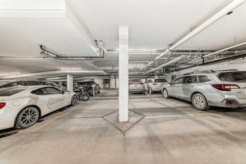 209-4250 Seton Drive Se, Calgary, AB - Indoor Photo Showing Garage