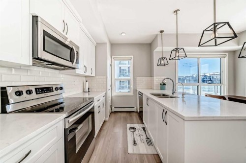 209-4250 Seton Drive Se, Calgary, AB - Indoor Photo Showing Kitchen With Stainless Steel Kitchen With Double Sink With Upgraded Kitchen