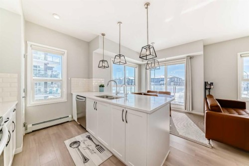 209-4250 Seton Drive Se, Calgary, AB - Indoor Photo Showing Kitchen With Double Sink With Upgraded Kitchen