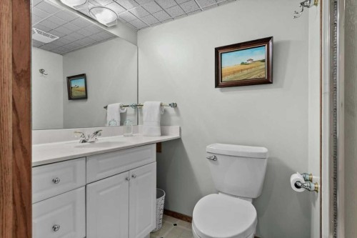 31 River Rock Manor Se, Calgary, AB - Indoor Photo Showing Bathroom