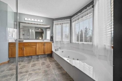 108 Hawkstone Close Nw, Calgary, AB - Indoor Photo Showing Bathroom
