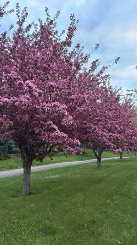 108 Hawkstone Close Nw, Calgary, AB - Outdoor With View