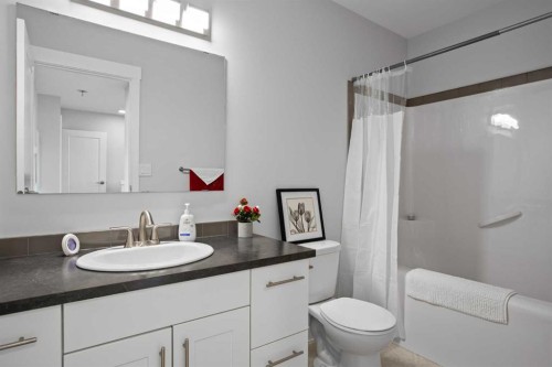 100-351 Monteith Drive Se, High River, AB - Indoor Photo Showing Bathroom