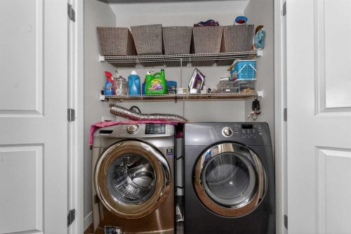 6101-333 Taralake Way Ne, Calgary, AB - Indoor Photo Showing Laundry Room