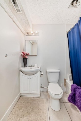 17007 Sunvale Road Se, Calgary, AB - Indoor Photo Showing Bathroom