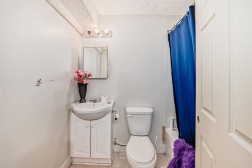 17007 Sunvale Road Se, Calgary, AB - Indoor Photo Showing Bathroom