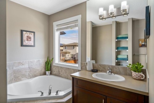 109 Ranch Rise, Strathmore, AB - Indoor Photo Showing Bathroom