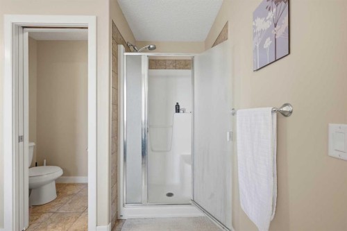 212 Springmere Road, Chestermere, AB - Indoor Photo Showing Bathroom