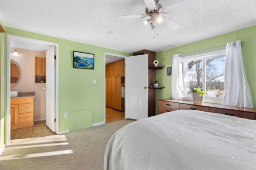 245042 Range Road 251, Rural Wheatland County, AB - Indoor Photo Showing Bedroom