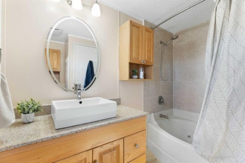 245042 Range Road 251, Rural Wheatland County, AB - Indoor Photo Showing Bathroom