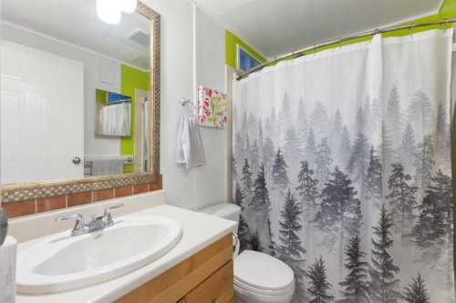 245042 Range Road 251, Rural Wheatland County, AB - Indoor Photo Showing Bathroom