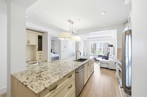 101-121 Quarry Way Se, Calgary, AB - Indoor Photo Showing Kitchen With Double Sink With Upgraded Kitchen