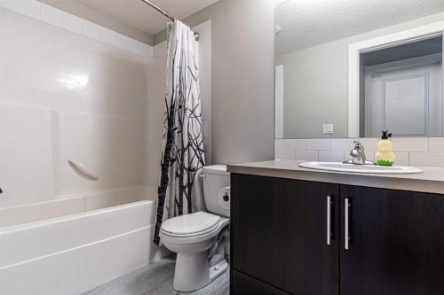 302-2300 Evanston Square Nw, Calgary, AB - Indoor Photo Showing Bathroom