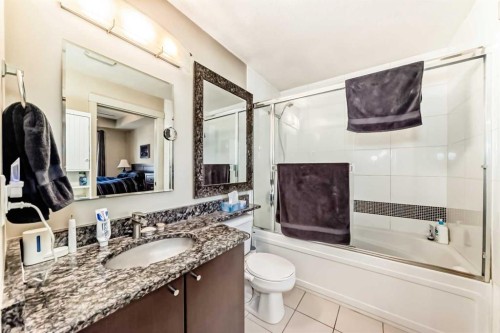 204-830 Centre Avenue Ne, Calgary, AB - Indoor Photo Showing Bathroom