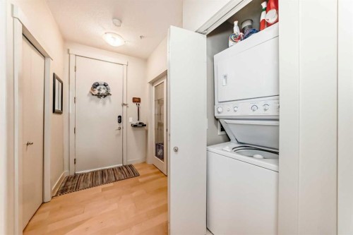 204-830 Centre Avenue Ne, Calgary, AB - Indoor Photo Showing Laundry Room