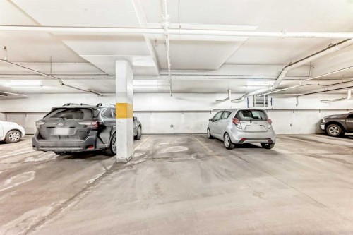 204-830 Centre Avenue Ne, Calgary, AB - Indoor Photo Showing Garage