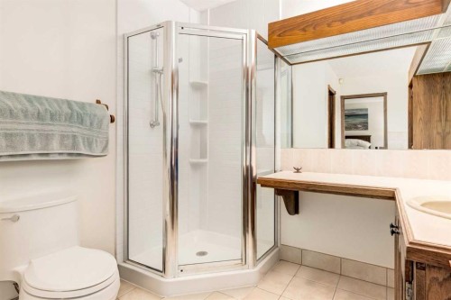 76 Sunmount Road Se, Calgary, AB - Indoor Photo Showing Bathroom