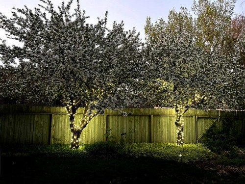 76 Sunmount Road Se, Calgary, AB - Outdoor