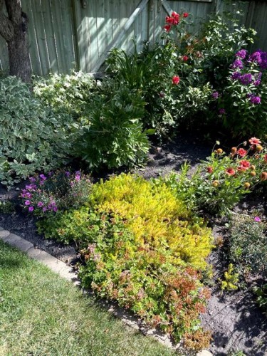 76 Sunmount Road Se, Calgary, AB - Outdoor