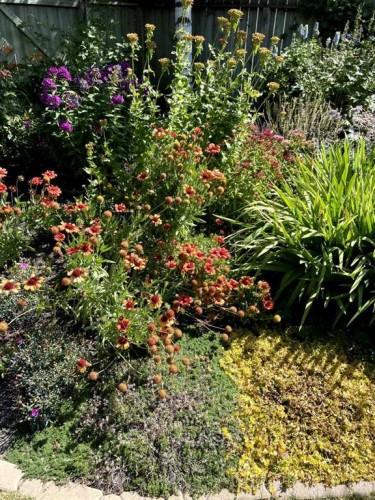 76 Sunmount Road Se, Calgary, AB - Outdoor