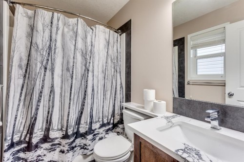 379 Skyview Shores Manor Ne, Calgary, AB - Indoor Photo Showing Bathroom