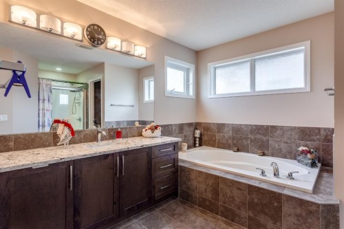 379 Skyview Shores Manor Ne, Calgary, AB - Indoor Photo Showing Bathroom