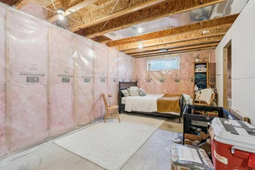 46 Prestwick Rise Se, Calgary, AB - Indoor Photo Showing Basement
