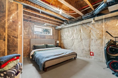 730 Walden Drive Se, Calgary, AB - Indoor Photo Showing Basement