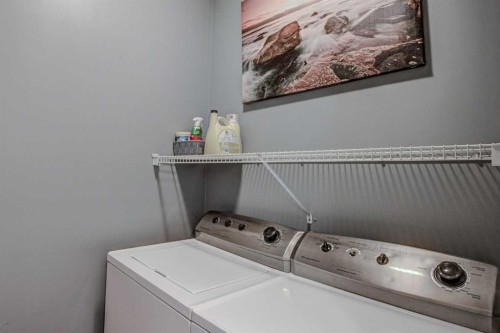 148 Copperfield Common Se, Calgary, AB - Indoor Photo Showing Laundry Room