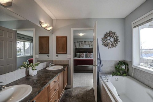 148 Copperfield Common Se, Calgary, AB - Indoor Photo Showing Bathroom