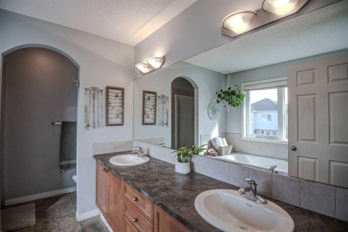 148 Copperfield Common Se, Calgary, AB - Indoor Photo Showing Bathroom