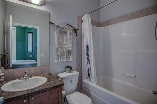 148 Copperfield Common Se, Calgary, AB - Indoor Photo Showing Bathroom