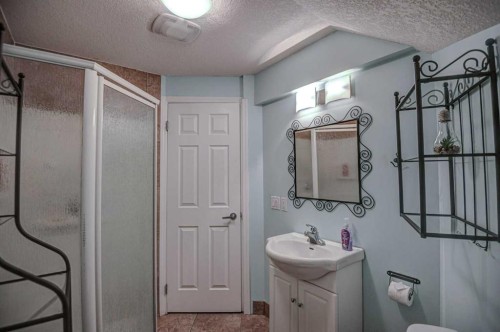 148 Copperfield Common Se, Calgary, AB - Indoor Photo Showing Bathroom