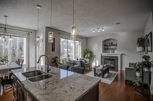 148 Copperfield Common Se, Calgary, AB - Indoor Photo Showing Kitchen With Fireplace With Double Sink