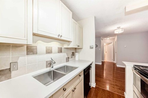 308-718 12 Avenue Sw, Calgary, AB - Indoor Photo Showing Kitchen With Double Sink