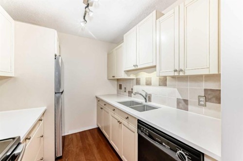 308-718 12 Avenue Sw, Calgary, AB - Indoor Photo Showing Kitchen With Double Sink