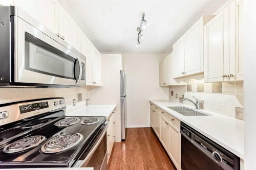 308-718 12 Avenue Sw, Calgary, AB - Indoor Photo Showing Kitchen With Double Sink