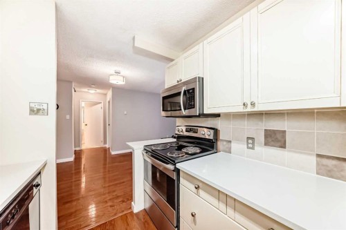 308-718 12 Avenue Sw, Calgary, AB - Indoor Photo Showing Kitchen