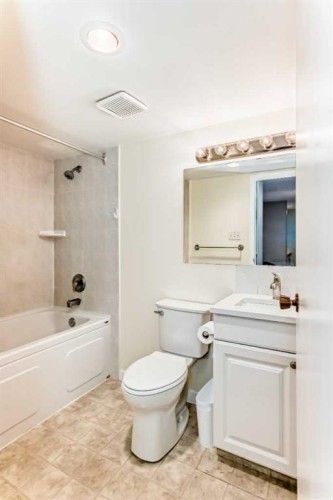 308-718 12 Avenue Sw, Calgary, AB - Indoor Photo Showing Bathroom