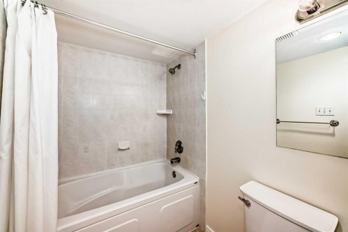 308-718 12 Avenue Sw, Calgary, AB - Indoor Photo Showing Bathroom